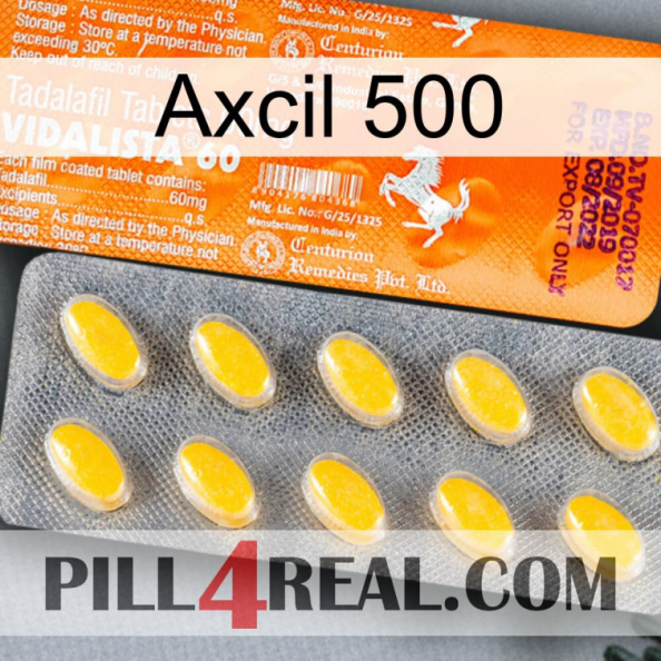 Axcil 500 new05.jpg